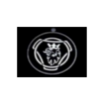 Par de faros colgantes para el espejo Scania